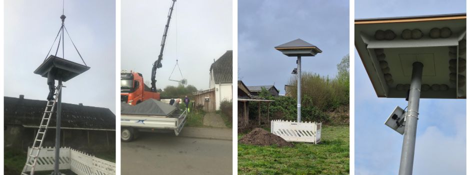 Eine Schwalbe macht noch ...?