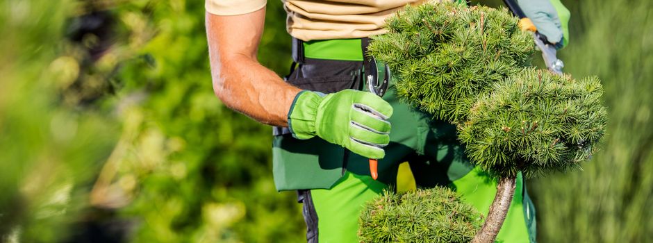 Bei der Gartenpflege auch an die tierischen Bewohner denken
