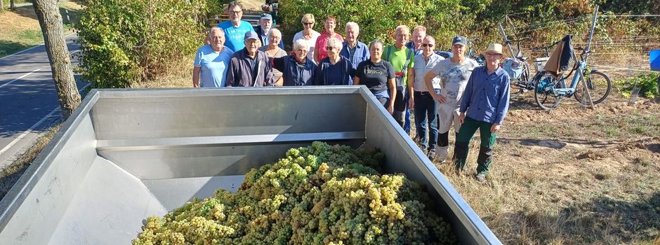 🍇Weinlese im Gemeindewingert – ein Bericht