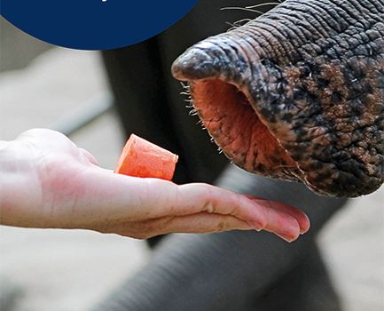 Einfach zugreifen: Bildung im Frühjahr/Sommer 2026 bei der vhs