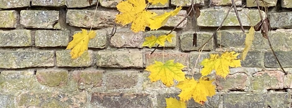Gedenkfeiern zum Volkstrauertag am 19.11.23