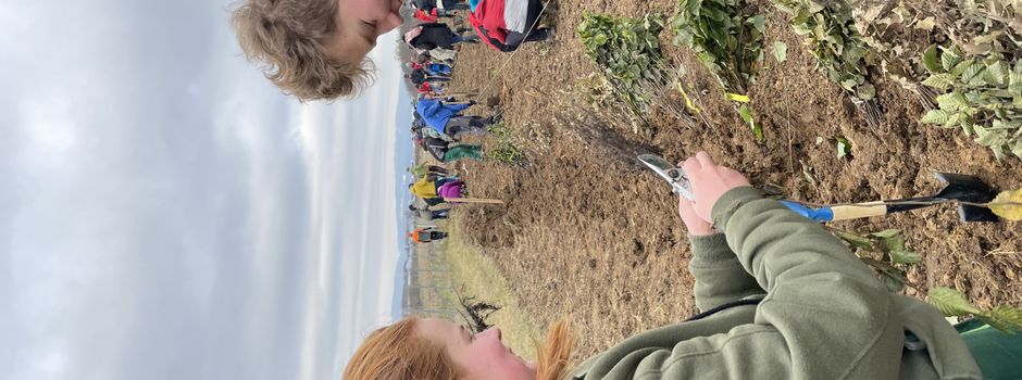 Freiwillige pflanzen über 800 Bäume im Ober-Olmer Wald