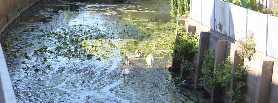 Wasserentnahmen aus Oberflächengewässern im Spreewald