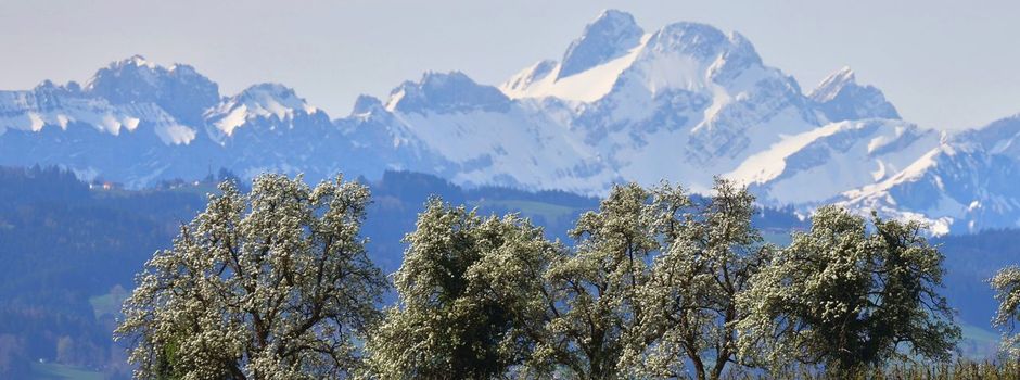 Sehr warmes Wetter in Deutschland - bis zu 31 Grad möglich