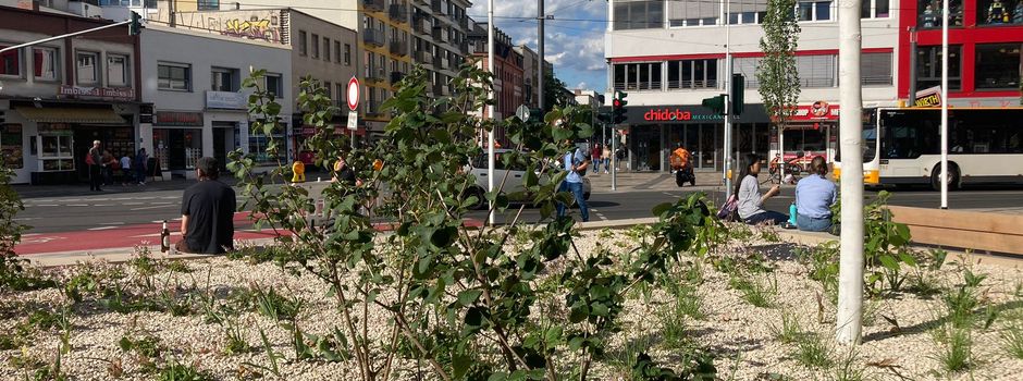 Nach Verbot: Hat die Stadt Mainz hier ihren eigenen Schottergarten?