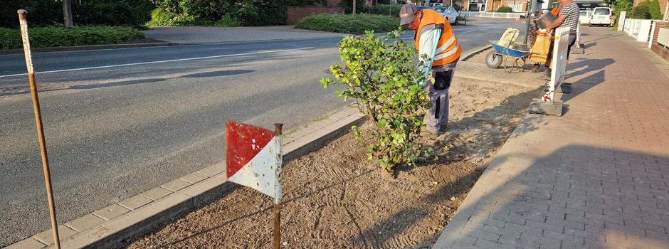 Stadt Ronnenberg lässt Schotterbeete in Empelde umgestalten