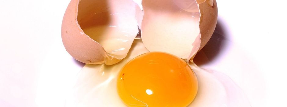 Manchmal zweifelt man am Verstand