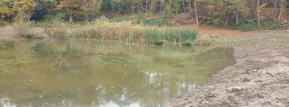 Chance 7 erhält Förderung bis 2026: Erfolgreicher Abschluss des Naturschutzgroßprojektes gesichert