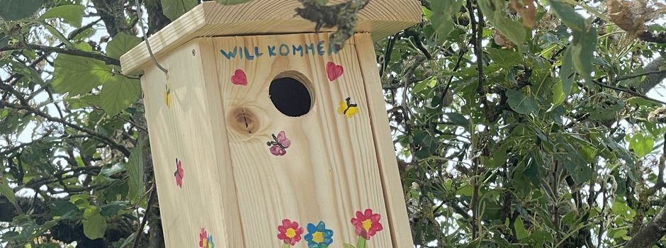 Bunte Natur: Nistkästen vom Umwelttag angebracht