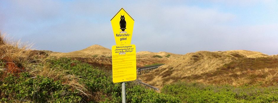 Kampf gegen invasive Pflanzenart zum Inselschutz im vollen Gange 