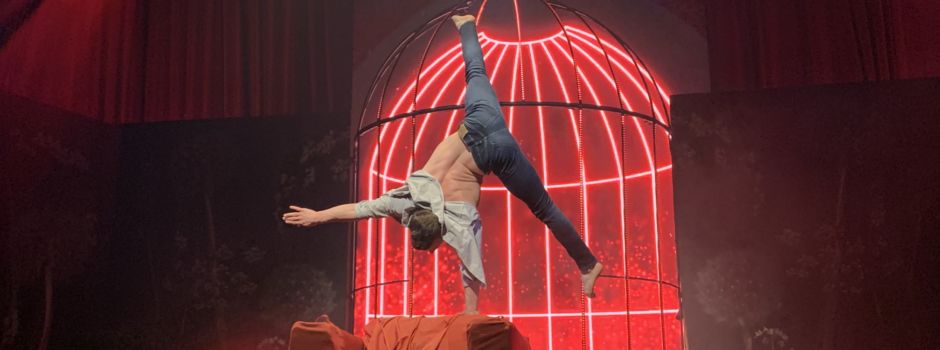 Playback – überraschend live: eine mitreißende Show im GOP Bonn (mit Fotogalerie)