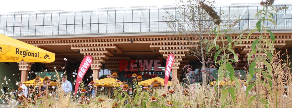 Sind Green Farming-Supermärkte die Zukunft der Versorgung in Städten?