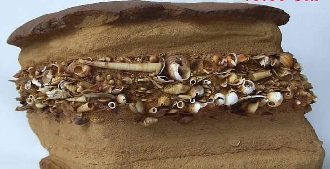 In 4 Tagen ist es soweit!!!