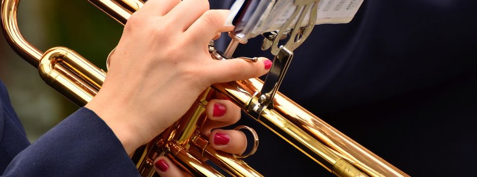 20 Jahre Fanfaren und Spielmannszug Niedersimten