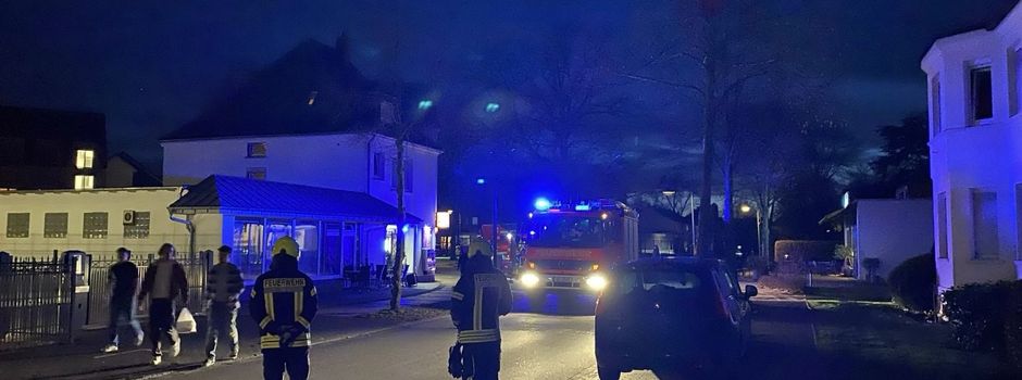 Feuerwehr rückt zu Katzenrettung aus – Tier rettet sich schließlich selbst