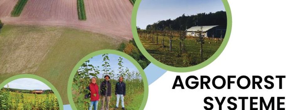 Vortrag am 12. Juli 2024 -19 Uhr
