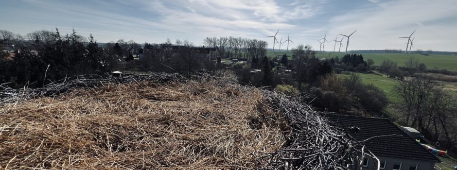 Neues Nest für Tarnower Storchenpaar
