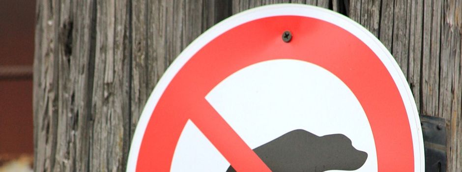 Hundefreunde in Jördenstorf 