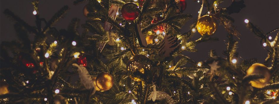 Start in den Advent: Dalheimer Weihnachtsbaum wird feierlich eröffnet