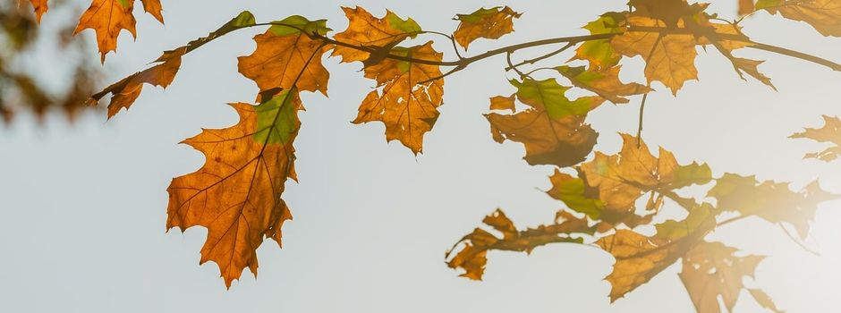 Start der Ausschreibung 
für die dritte Fördergeneration „Dritte Orte“ 
am 30.10.2026