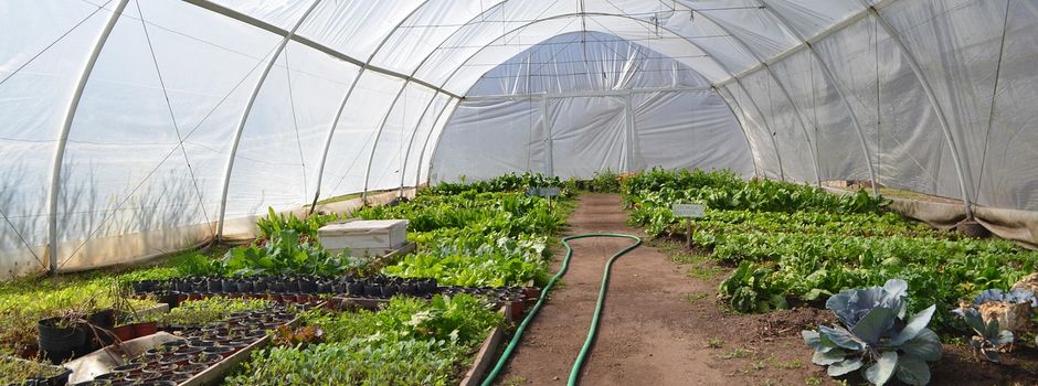 Kleine Gärtner ganz groß: Ein Vormittag in der Gärtnerei