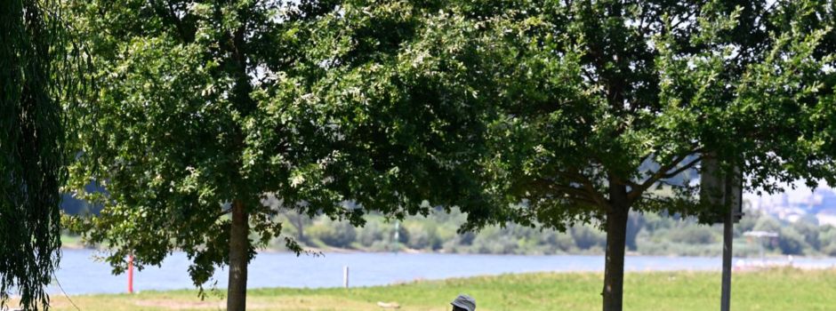 Städte im Hitze-Check: Heißes Mannheim, kühles Hattingen