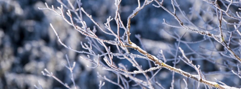 Aufruf zum Fotowettbewerb: „Mein schönster Winter-Moment“