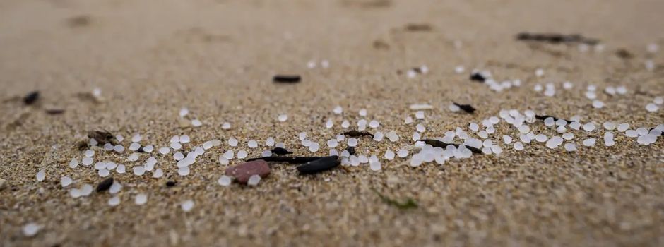 Erneut Unmengen an schädlichem Plastikgranulat am Sylter Weststrand