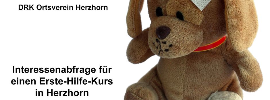Interessenabfrage für einen Erste-Hilfe-Kurs in Herzhorn