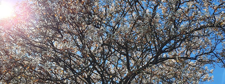 Kommunale Wärmeplanung