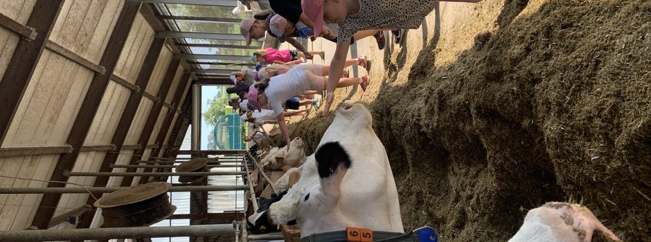 Ferienprogramm „Unsere Welt – unsere Tiere“