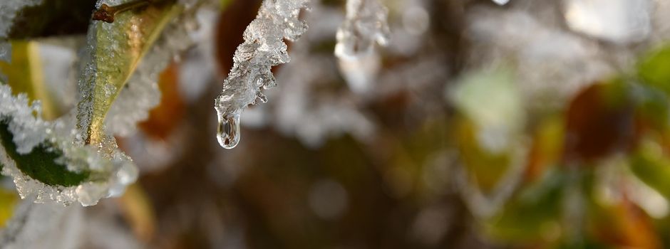 Geesthachter Wälder: Stadtverwaltung hebt Sperrung auf