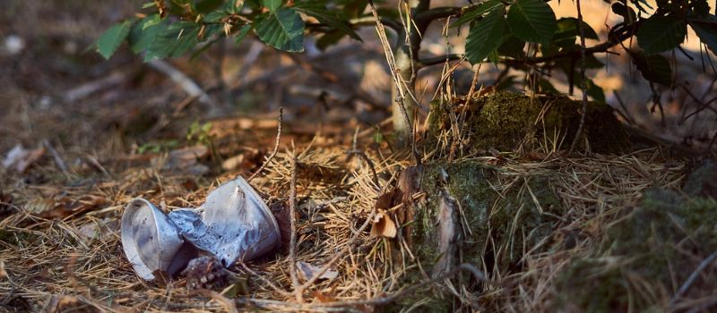 Frühjahrsputz im Kreis Kleve am 21. März 2026
