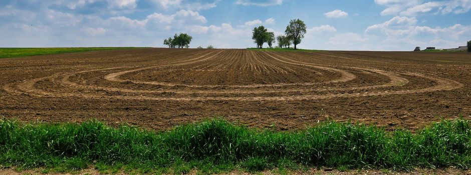 Landwirtschaftl. Fläche