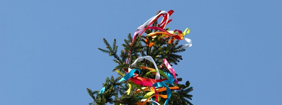 Traditionelles Maibaumstellen