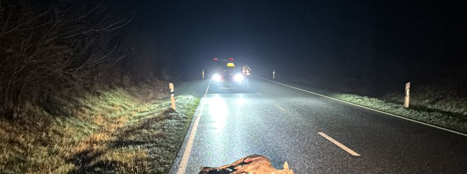 Wildwechsel-Schilder und Tempo 70 auf Teilen der L192