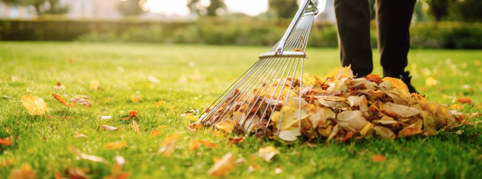 Herbstlaub und Heckenschnitt: So geht naturnahe Gartenpflege im Herbst