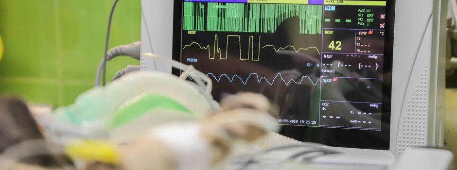 Tierärzte: Einheitliche Notdienstnummer