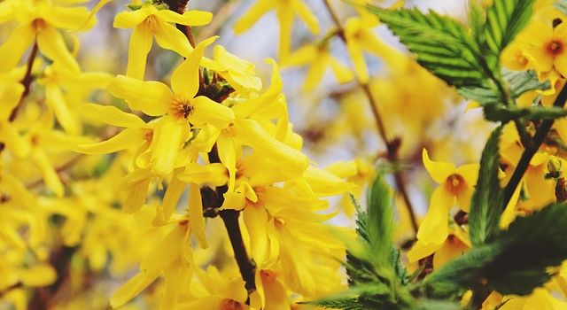 7 Dinge, die ihr im Frühling in Augsburg machen könnt