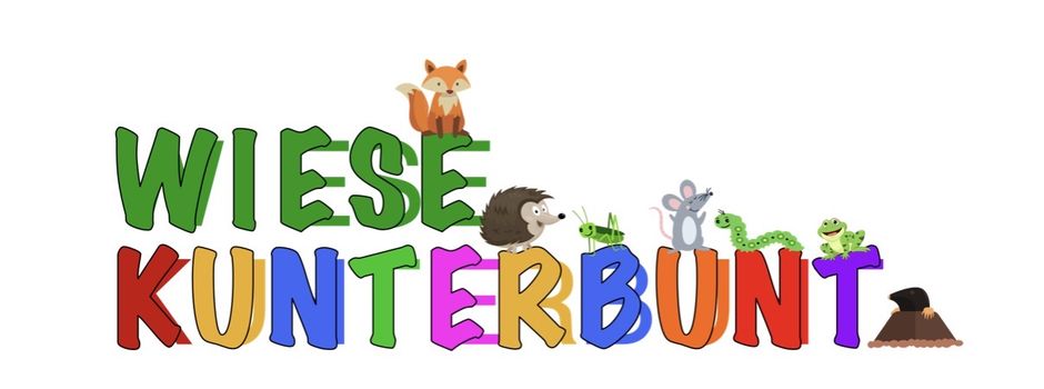 Die Kindertagesstätte “Wiese Kunterbunt“ sucht zum nächstmöglichen Zeitpunkt mehrere Erzieher*innen (m/w/d)