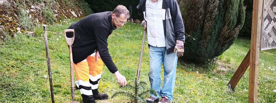 Brasilianischer Wissenschaftler pflanzt Heimatbaum in Hemmersdorf