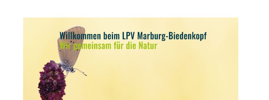 LPV bietet Sensen-Workshop in Cölbe an