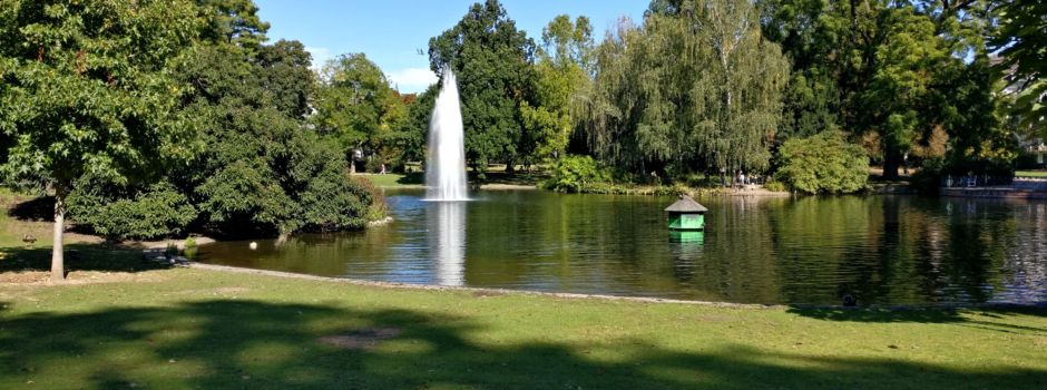 Wird der „Warme Damm“ in Wiesbaden zur Problem-Zone?