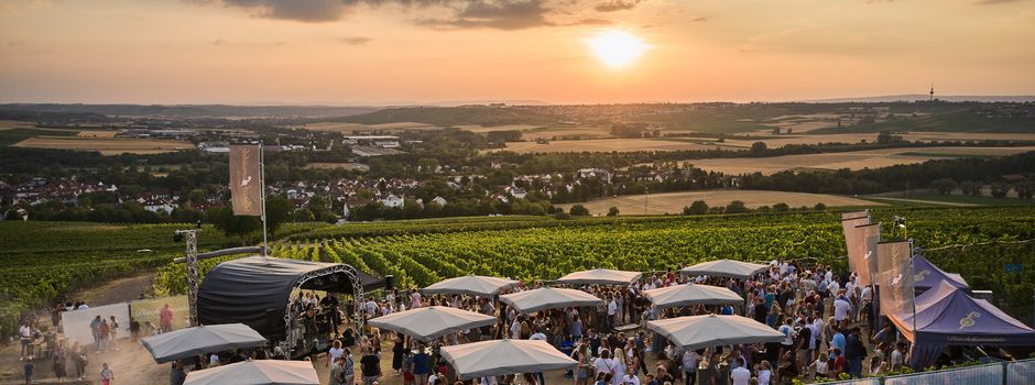 Panorama-Picknick in Nieder-Olm