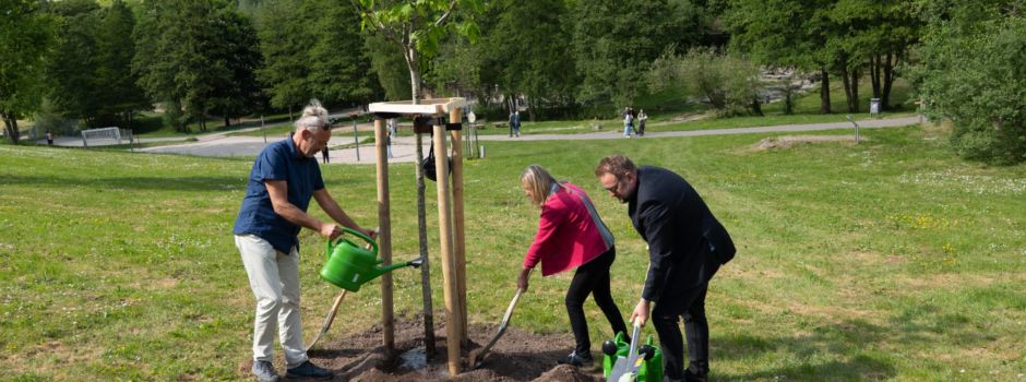 Rot-Eiche bekommt einen Platz im Strecktalpark