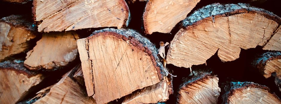 Brennholz-Verkauf aus heimischen Wäldern