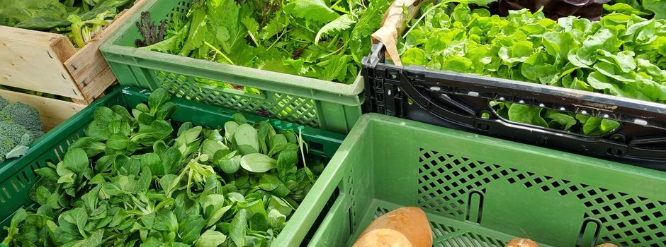 Wochenmarkt ist am 01.04.2026 gestartet