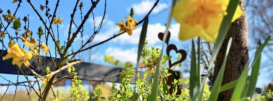 Foto-Veranstaltungskalender für 2026