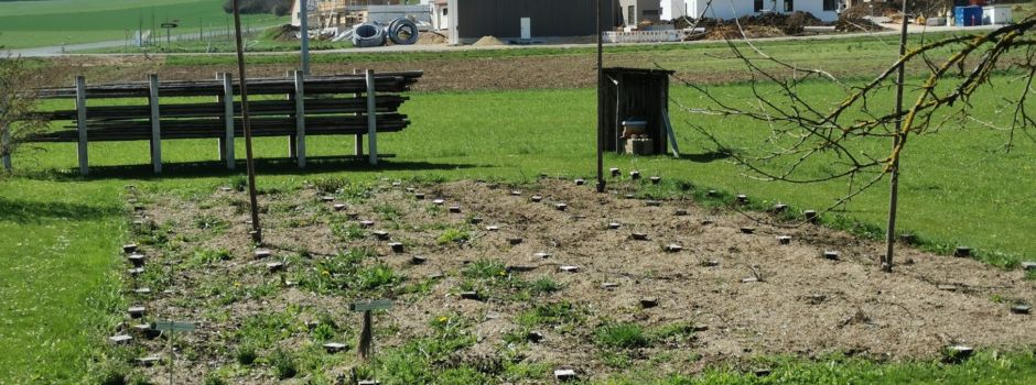 Gartenbauverein Illschwang bittet Helfer zum Aufstellen der Hopfenstangen
