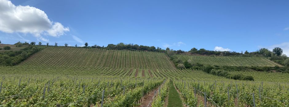Regionaltag Rheinhessen: Geschäftsstelle kann starten, Ausschreibung läuft
